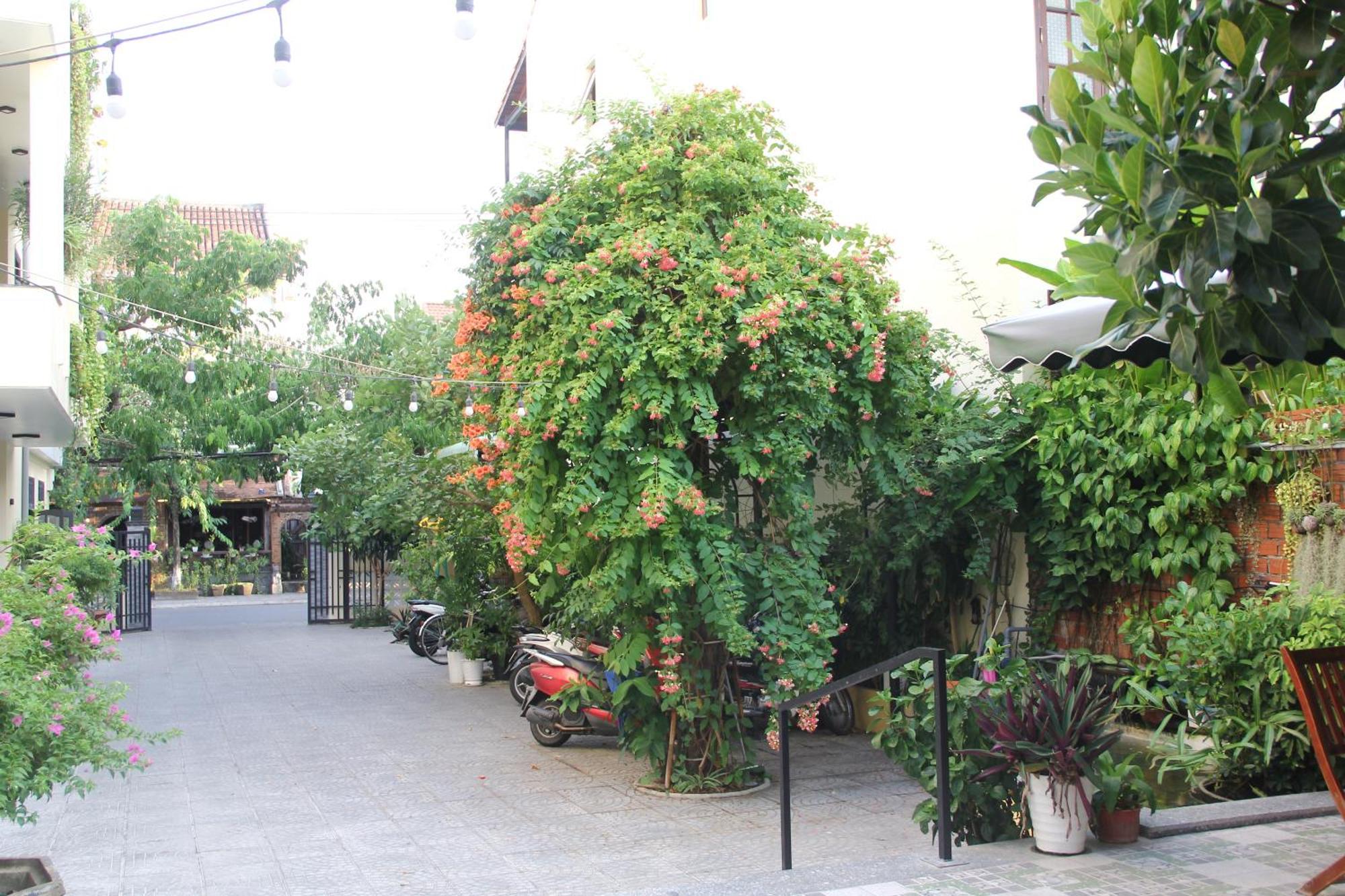 Windbell Villa Hoi An Dış mekan fotoğraf